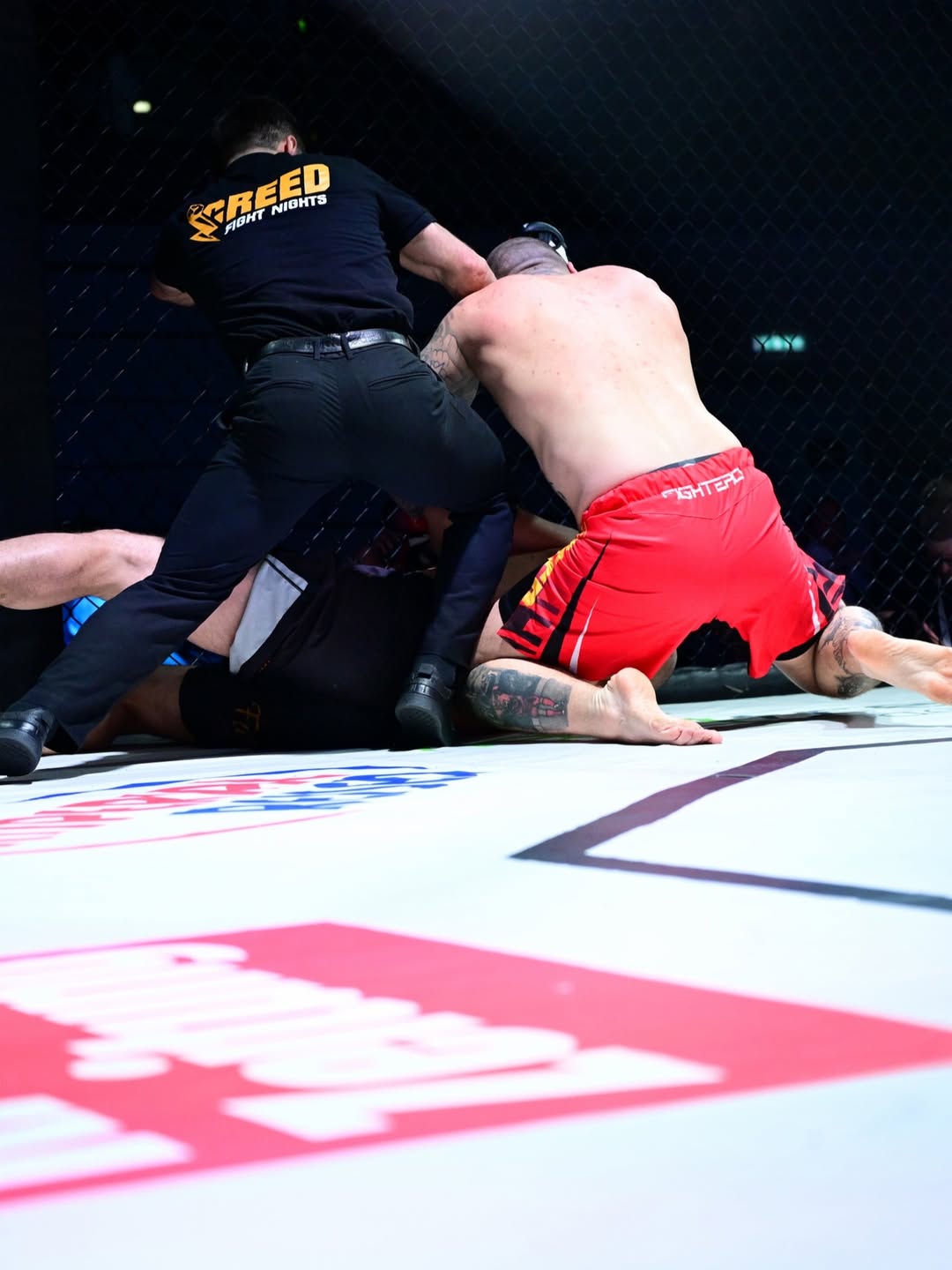 Lovrić Ground & Pound Finish